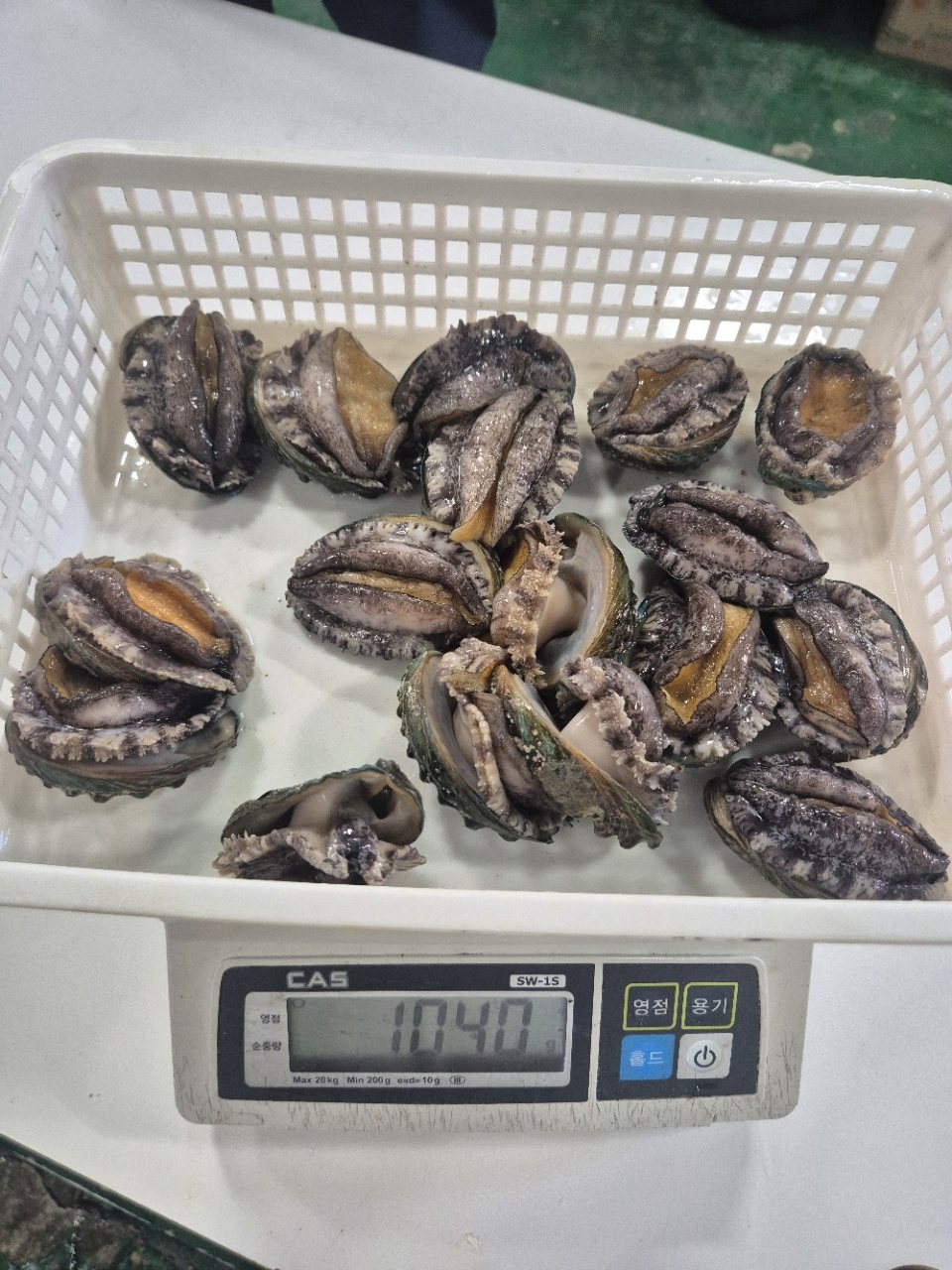 산지직송 활전복 1kg 사진 3